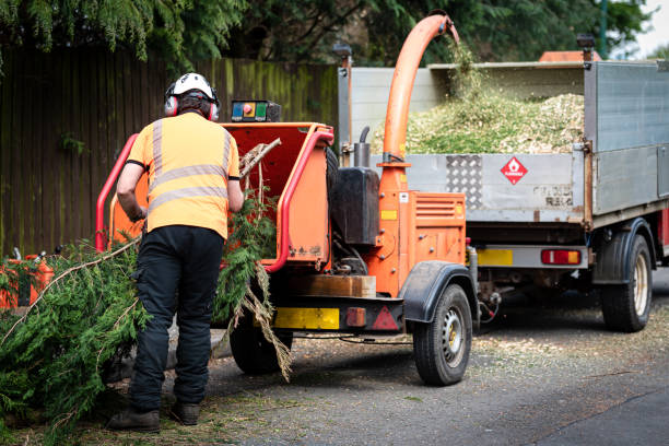 Leaf Removal in Richland, MS